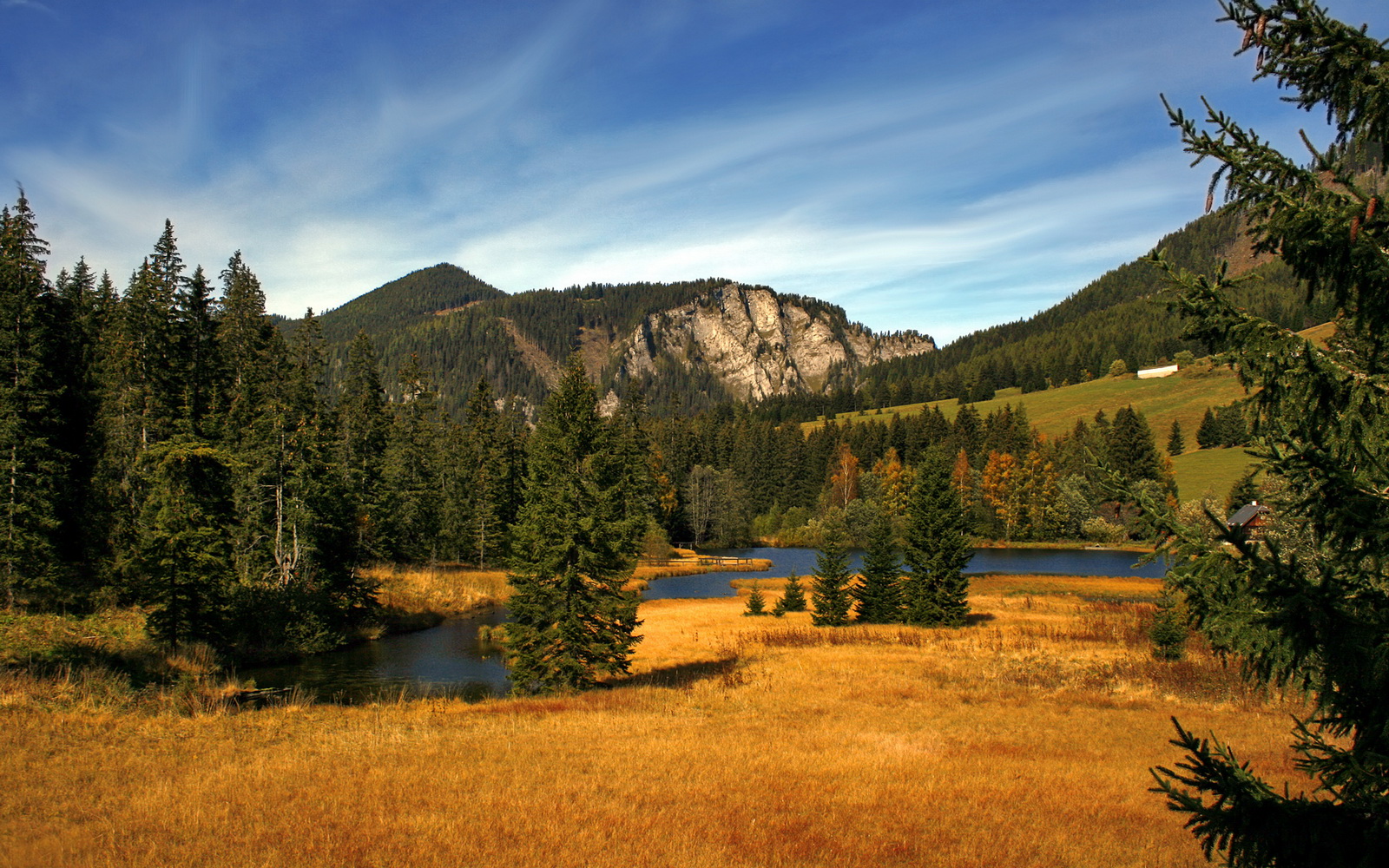本菲卡调整阵型及时,扭转控球劣势,本菲卡队